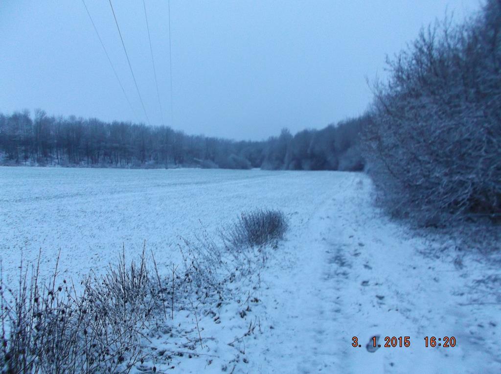 Talstation: Blick auf die Station