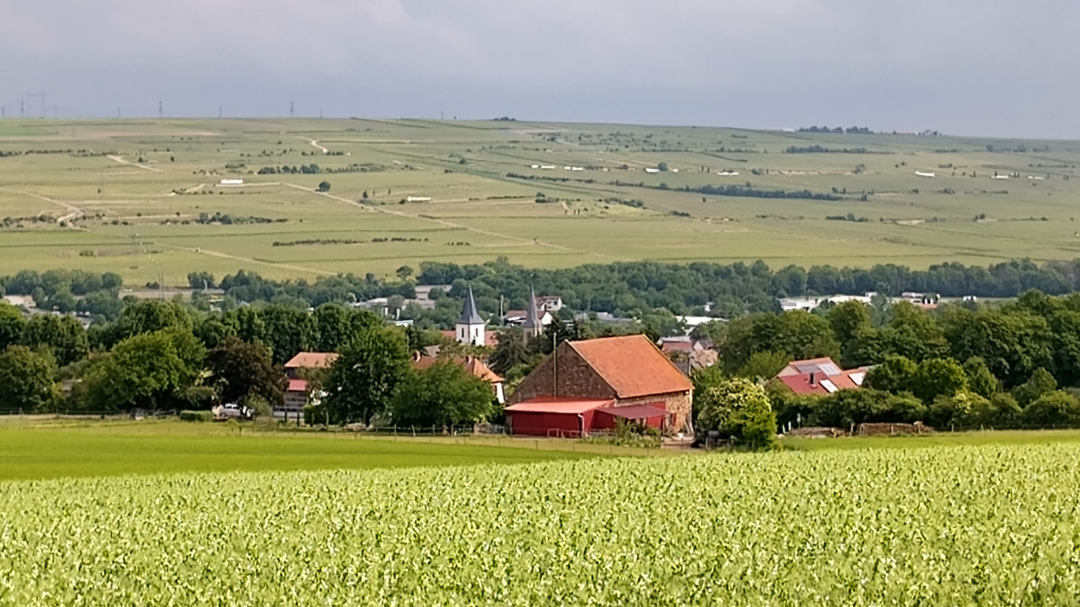 Gundersheim in der Sonne