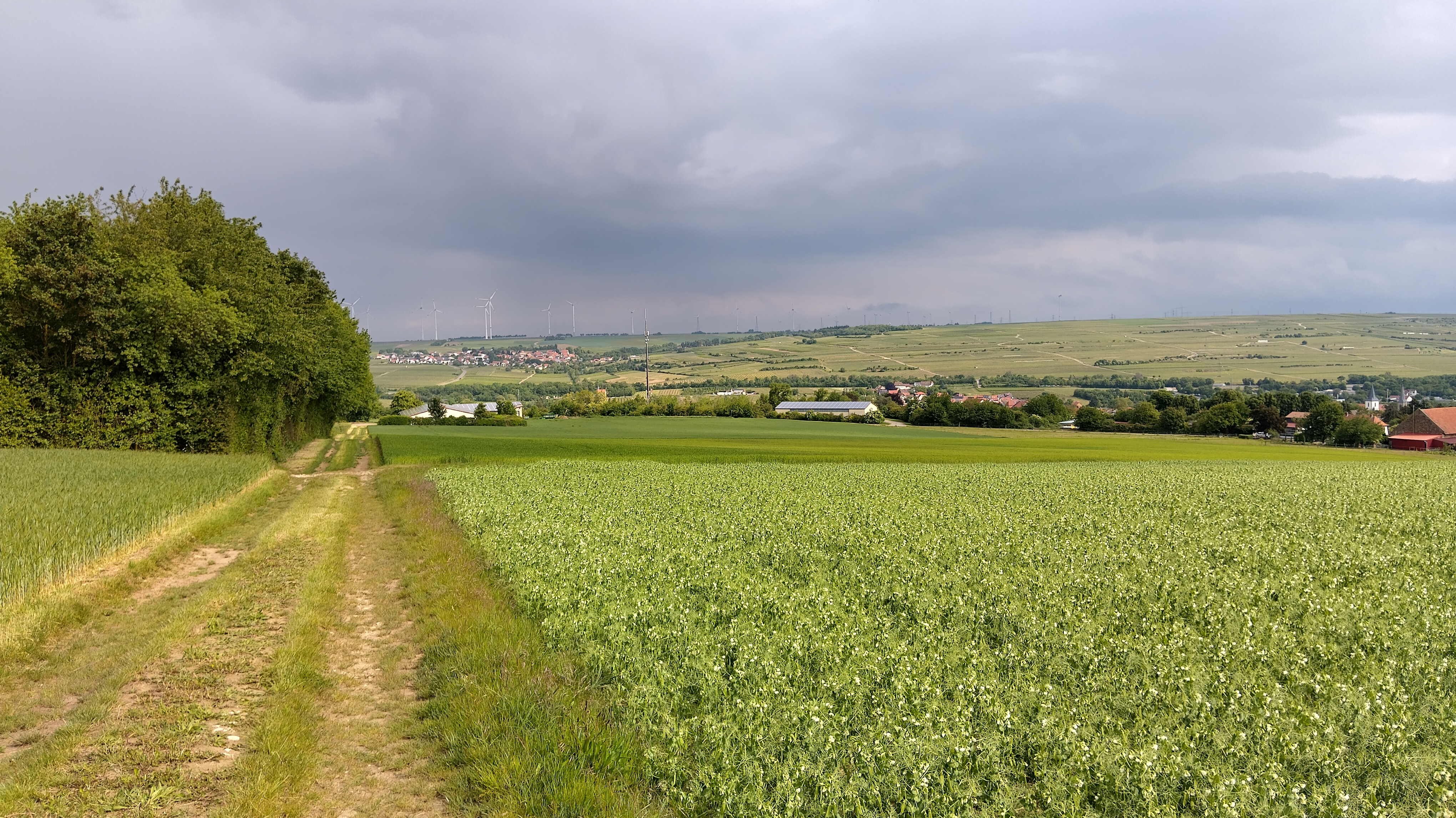 Rund um Gundersheim regnet es